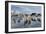 Sled Dogs, Nunavut, Canada-Paul Souders-Framed Photographic Print