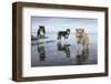 Sled Dogs, Nunavut, Canada-Paul Souders-Framed Photographic Print