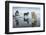 Sled Dogs, Nunavut, Canada-Paul Souders-Framed Photographic Print