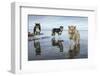 Sled Dogs, Nunavut, Canada-Paul Souders-Framed Photographic Print