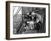 Sled Dogs on Deck of Terra Nova, Scott's Exploration Ship, 1910-Science Source-Framed Giclee Print