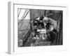 Sled Dogs on Deck of Terra Nova, Scott's Exploration Ship, 1910-Science Source-Framed Giclee Print