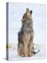 Sled dogs on sea ice near Uummannaq in northern West Greenland beyond the Arctic Circle-Martin Zwick-Stretched Canvas