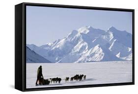 Sled Dogs, Park Ranger, Mount McKinley, Denali National Park, Alaska, USA-Gerry Reynolds-Framed Stretched Canvas