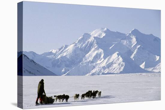 Sled Dogs, Park Ranger, Mount McKinley, Denali National Park, Alaska, USA-Gerry Reynolds-Stretched Canvas
