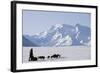 Sled Dogs, Park Ranger, Mount McKinley, Denali National Park, Alaska, USA-Gerry Reynolds-Framed Photographic Print