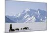 Sled Dogs, Park Ranger, Mount McKinley, Denali National Park, Alaska, USA-Gerry Reynolds-Mounted Photographic Print