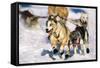 Sled Dogs Racing Through Snow-Paul Souders-Framed Stretched Canvas