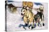 Sled Dogs Racing Through Snow-Paul Souders-Stretched Canvas