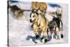 Sled Dogs Racing Through Snow-Paul Souders-Stretched Canvas