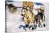 Sled Dogs Racing Through Snow-Paul Souders-Stretched Canvas