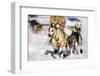 Sled Dogs Racing Through Snow-Paul Souders-Framed Premium Photographic Print