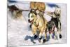 Sled Dogs Racing Through Snow-Paul Souders-Mounted Photographic Print