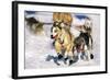 Sled Dogs Racing Through Snow-Paul Souders-Framed Photographic Print