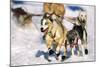 Sled Dogs Racing Through Snow-Paul Souders-Mounted Photographic Print
