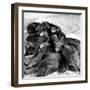 Sled Dogs Sleeping-null-Framed Photographic Print
