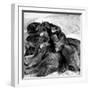 Sled Dogs Sleeping-null-Framed Photographic Print