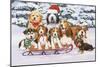 Sled Dogs-William Vanderdasson-Mounted Giclee Print