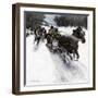 Sled Race on a Snow-Covered Country Road in New England (Canada). Illustration 1906 by Howard Smith-null-Framed Giclee Print