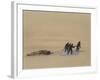 Sledge Hauling on Ski. A Grey Day on the Great Ice Barrier, 1903-Edward Adrian Wilson-Framed Giclee Print