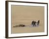 Sledge Hauling on Ski. A Grey Day on the Great Ice Barrier, 1903-Edward Adrian Wilson-Framed Giclee Print