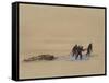 Sledge Hauling on Ski. A Grey Day on the Great Ice Barrier, 1903-Edward Adrian Wilson-Framed Stretched Canvas
