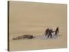 Sledge Hauling on Ski. A Grey Day on the Great Ice Barrier, 1903-Edward Adrian Wilson-Stretched Canvas