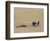 Sledge Hauling on Ski. A Grey Day on the Great Ice Barrier, 1903-Edward Adrian Wilson-Framed Giclee Print