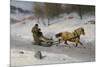 Sledge Ride, 1889-Axel Hjalmar Ender-Mounted Giclee Print