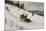 Sledge Riding and Skiing-Axel Hjalmar Ender-Mounted Giclee Print