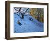 Sledging Allestree Golf Course (3rd Hole) 2014-Andrew Macara-Framed Giclee Print