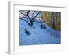 Sledging Allestree Golf Course (3rd Hole) 2014-Andrew Macara-Framed Giclee Print