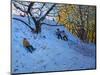 Sledging Allestree Golf Course (3rd Hole) 2014-Andrew Macara-Mounted Giclee Print