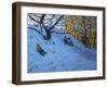 Sledging Allestree Golf Course (3rd Hole) 2014-Andrew Macara-Framed Giclee Print