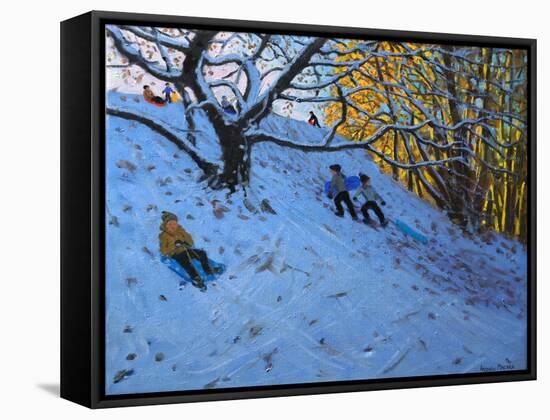 Sledging Allestree Golf Course (3rd Hole) 2014-Andrew Macara-Framed Stretched Canvas