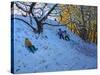 Sledging Allestree Golf Course (3rd Hole) 2014-Andrew Macara-Stretched Canvas