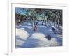 Sledging at Ladmanlow, 2012-Andrew Macara-Framed Giclee Print