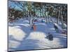 Sledging at Ladmanlow, 2012-Andrew Macara-Mounted Giclee Print