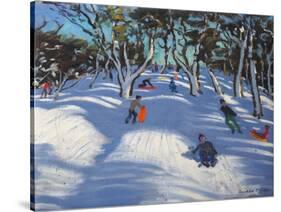 Sledging at Ladmanlow, 2012-Andrew Macara-Stretched Canvas