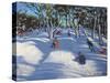 Sledging at Ladmanlow, 2012-Andrew Macara-Stretched Canvas