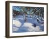 Sledging at Ladmanlow, 2012-Andrew Macara-Framed Giclee Print