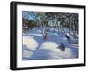 Sledging at Ladmanlow, 2012-Andrew Macara-Framed Giclee Print