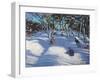 Sledging at Ladmanlow, 2012-Andrew Macara-Framed Giclee Print