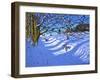 Sledging down the gully,Dam Lane,Ashbourne-Andrew Macara-Framed Giclee Print