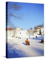 Sledging for Fun, Near Oslo, Norway, Scandinavia-David Lomax-Stretched Canvas