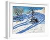 Sledging, Glutton Bridge, Buxton, Derbyshire, 2016-Andrew Macara-Framed Giclee Print