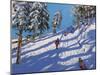 Sledging, Hillside, Glossop, 2015-Andrew Macara-Mounted Giclee Print