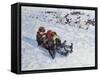 Sledging III-Paul Gribble-Framed Stretched Canvas