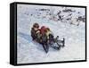 Sledging III-Paul Gribble-Framed Stretched Canvas