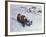 Sledging III-Paul Gribble-Framed Giclee Print